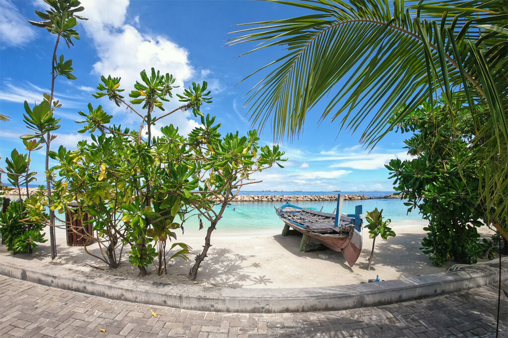 local island maldives