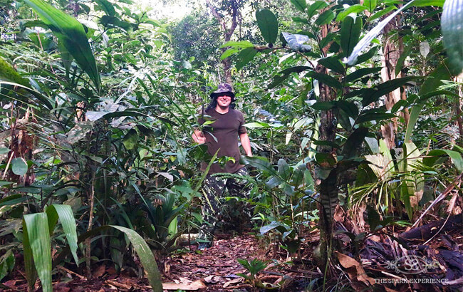 Amazon Jungle Getaway