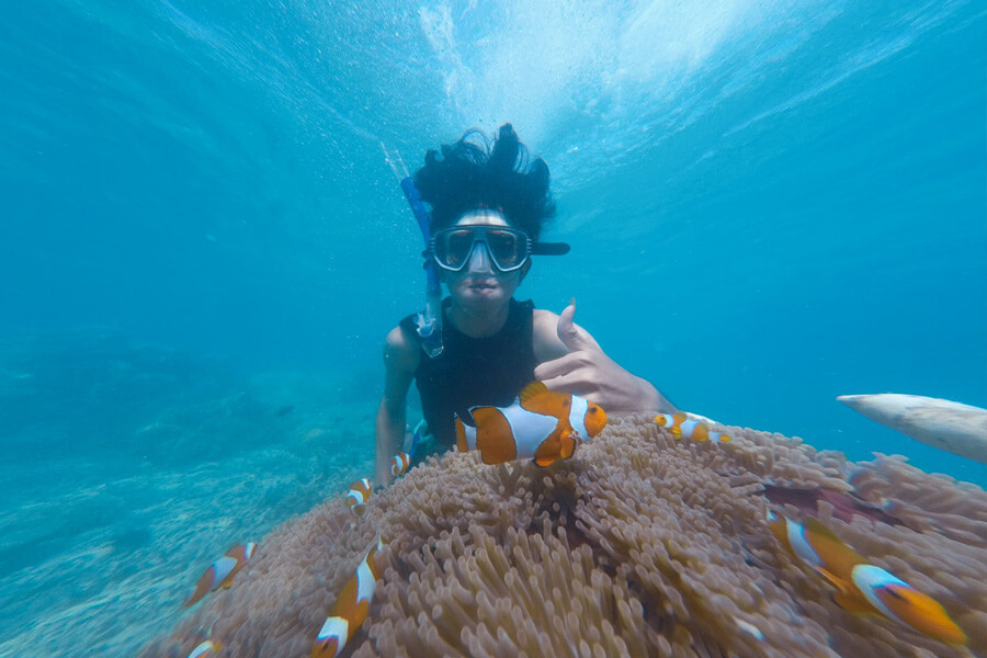 Snorkel Opportunity