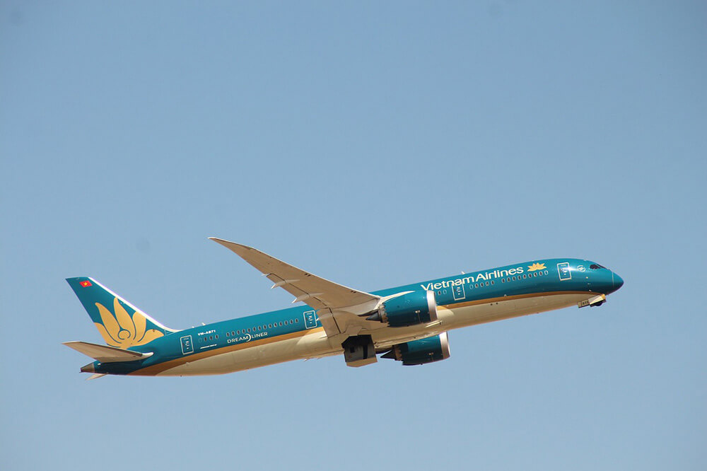 Domestic Flight & Transport